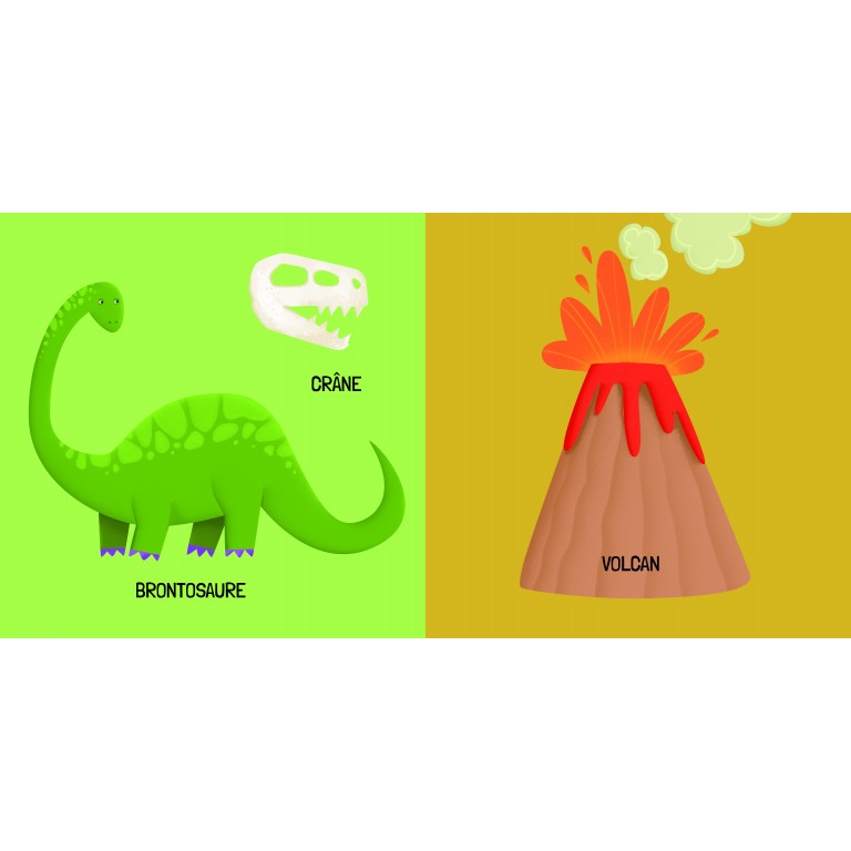Coffret Dinosaures - Livre, puzzle et dinosaures à assembler