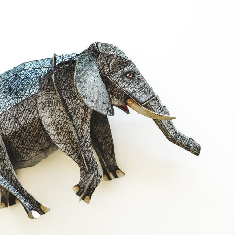 Livre et maquette - L’éléphant 3D
